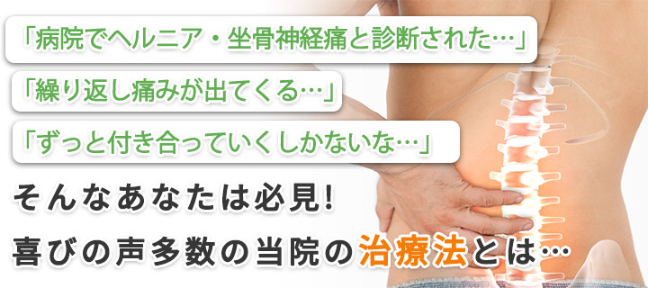 ヘルニア画像1